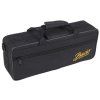 BACIO INSTRUMENTS ECL-100