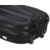 BACIO INSTRUMENTS EVA Cello Case BK 4/4