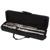 BACIO INSTRUMENTS BFL-100S