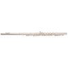BACIO INSTRUMENTS BFL-100S