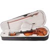 BACIO INSTRUMENTS GA103 Student Viola 16