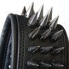 RICHTER Blackness Gunblack Spikes