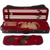 BACIO INSTRUMENTS Violin Case RD (018) 4/4
