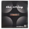 SANDBERG Bass Strings 40-100