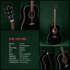 22320 1 sigma guitars dm 1st bk