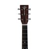 22383 3 sigma guitars dtce