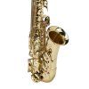 SOUNDSATION SALSX-20