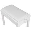 SOUNDSATION SBH-100P-WH