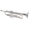 SOUNDSATION STPSL-10