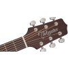 24615 3 takamine gd10 ns