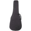 TANGLEWOOD Deluxe Hard Foam Case Folk
