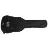 TANGLEWOOD EM C2