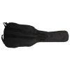 TANGLEWOOD EM C2