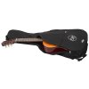 TANGLEWOOD EM C2