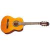 TANGLEWOOD EM C2