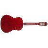 TANGLEWOOD EM C2
