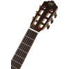 TANGLEWOOD EM DC 5