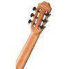 TANGLEWOOD EM E1
