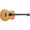 TANGLEWOOD TR3