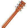 TANGLEWOOD TR5