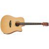 TANGLEWOOD TR5CE