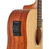 TANGLEWOOD TR5CE