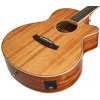 TANGLEWOOD TUN4CE