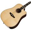 TANGLEWOOD TW1000 H SRCE