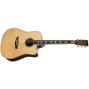TANGLEWOOD TW1000 H SRCE
