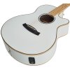 TANGLEWOOD TW4CE BLW