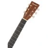 TANGLEWOOD TW40DANE