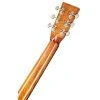 TANGLEWOOD TW40DANE