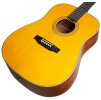 TANGLEWOOD TW40 D AN E