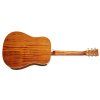TANGLEWOOD TW40DANE