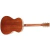 TANGLEWOOD TW40OANE
