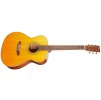 TANGLEWOOD TW40 O AN E