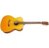 TANGLEWOOD TW40OANE