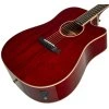 TANGLEWOOD TW5CE R