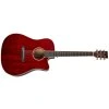 TANGLEWOOD TW5CE R