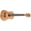 TANGLEWOOD TWT6