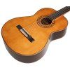 TANGLEWOOD EM D3