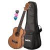 CASCHA HH 2048L