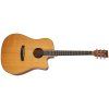 TANGLEWOOD TW5CE NA