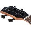 CASCHA CUCZW1 Concert Zebra Wood