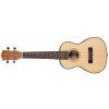 CASCHA HH 2151L Concert Spruce LH