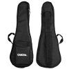 CASCHA HH 2151L Concert Spruce LH