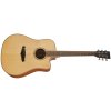 TANGLEWOOD TP5SE