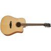 TANGLEWOOD TP5SE