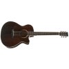 TANGLEWOOD TW4CE BS