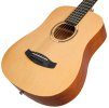 TANGLEWOOD TR2
